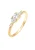 ELLI PREMIUM Ring  goud / transparant