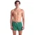 Arena Pro_file Beach X-short Mangrove-light Green