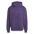 Hoodie adidas Future Icons
