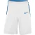 Nike Heren Logo Basketball Shorts (Wit/Blauw)