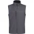 Regatta Heren Flux Softshell Body Warmer (Zeehond Grijs/Seal Grijs)
