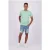 RAIZZED Bayou T-shirt Bright Mint