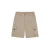 Cargo shorts Dickies Jackson
