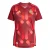 ADIDAS PERFORMANCE Tricot ‘Germany 25 Away’  geel / rood / bourgogne