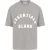 Blank Essentials Dames/Dames Oversized Vriend T-shirt (Legering)
