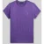 Polo Ralph Lauren regular fit T-shirt van puur katoen