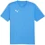 Puma Heren TeamFinal Training T-shirt (Blauw/zilver)
