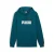 Tweekleurig sweatshirt met capuchon Puma Essentials+ Big Logo