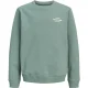 Jack & Jones Sweat 12309118 jornorre