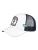 Coastal Pet ‘HFT Old & Skate’  geel / donkergroen / zwart / wit