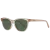 Kate Spade Sunglasses 202406 FWMQT 52 KAELI