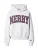 Abercrombie & Fitch Sweatshirt  donkerblauw / lichtgrijs / bourgogne / wit