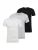 LACOSTE Shirt  grijs gemêleerd / zwart / wit