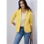 Basis blazer