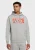 Nike Heren Sportswear Fleece Hoodie in Grijs