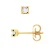 Diamanten oorknopjes 0,10 Cts Yellow Gold