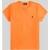 Polo Ralph Lauren T-shirt met labelstitching