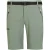 Regatta Heren Xert III Stretch Shorts (Agave Groen)