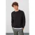 Heren Regular Fit Round Neck Sweater