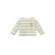 s.Oliver gestreepte longsleeve lichtgroen
