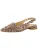 Paul Green Ballerina met riempjes  beige / bruin / zwart