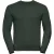 Russell Heren Authentieke Sweatshirt (Slimmer Cut) (Fles groen)
