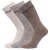 Regatta – Geweldige Outdoors Heren Katoenen Rich Casual Sokken (3 per Verpakking) (Bruin)
