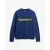 Gestreepte sweatshirt Superdry Core Logo