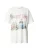 HOLLISTER Shirt  donkergrijs / groen / rosa / wit