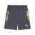 PUMA Sportbroek ‘IndividualCUP’  grijs / donkergrijs / groen