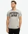 Superdry Mannen Gestreept Vintage Athletic T-shirt Grijs