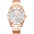 Vrouwenhorloge Dkny Chambers Multi Sport