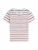 Tommy Jeans Shirt ‘Slim’  blauw / rood / wit