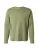GANT Shirt  groen