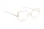 Ana Hickmann Optical Frame HI1258 T01 54 Titanium