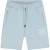 Malelions Men Permanent Vacation Shorts | Ice Blue