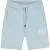 Malelions Men Permanent Vacation Shorts | Ice Blue