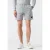 AlphaTauri Petal V1.y9.01 Shorts Cloud Grey