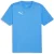 Puma Heren TeamFinal Training T-shirt (Blauw)