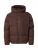 HOLLISTER Winterjas  bruin