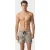 Arena Men’s  Chine’ Print X-short Sage