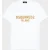 Dsquared2 Milano Logo T-Shirt Print Wit Oker