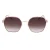 Tommy Hilfiger Dames Gradient Zonnebril (Bruin)