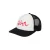 Trucker pet Quiksilver Dna Impaired