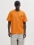 Jack & Jones Jjdaytona Tee Ss Crew Neck Sn 12294714 Print T-shirts Exuberance