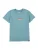 DC Shoes Functioneel shirt ‘PLANETARIUM’  navy / opaal / lichtgroen / oranje