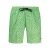 Noorwegen 1963 Groene Polyester Mannen Zwemshorts