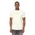 Duck and Cover Heren Pittifore T-Shirt (Off White)