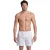 Arena Fundamentals  Logo Boxer R White-navy