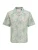 Only & Sons Overhemd ‘ONSCAIDEN’  lichtgrijs / jade groen